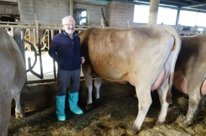 k-Vater Biver bei Piazza Licio